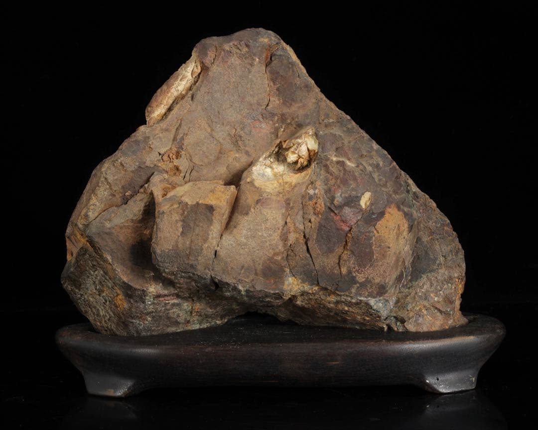 菊花石 花紋石 台座付 3.6kg 鑑賞石 原石 自然石 美石 水石 盆石 飾石