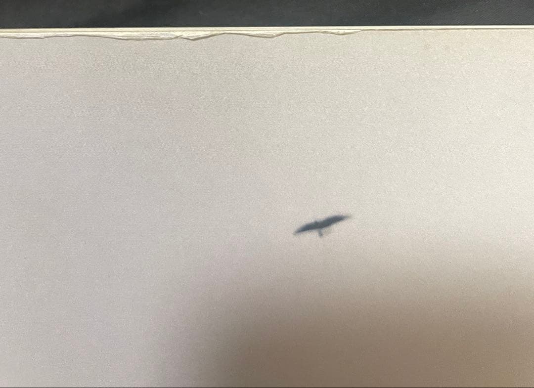 Félix González-Torres America