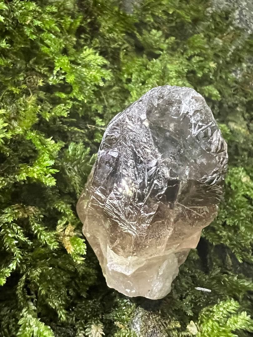 龍脈の精髄　宮崎産虹入り成長干渉煙水晶「祓いと覚醒、希望の光」【保護猫活動支援】