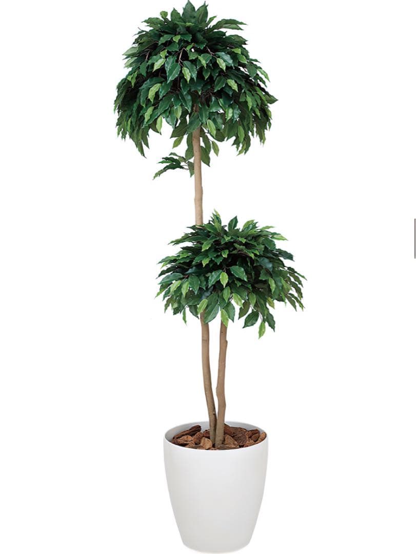 光触媒　人工観葉植物　フェイクグリーン　ベンジャミンダブル 1.8m