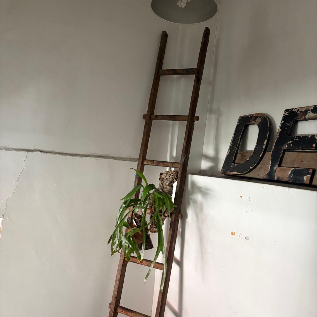 引き取り限定 昭和 レトロ 木製 古い長い梯子 ハシゴ グリーン ハンギング