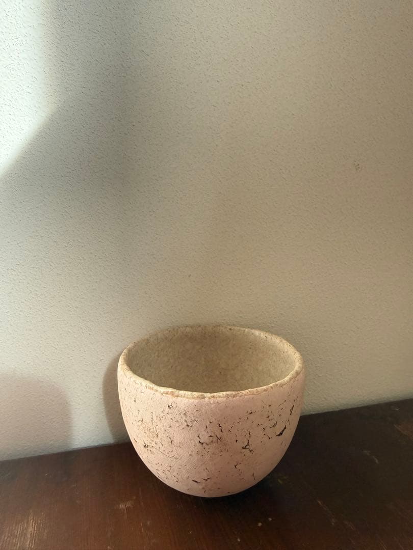 内田鋼一 加彩ボウル 内田京子 安藤雅信 三谷龍二