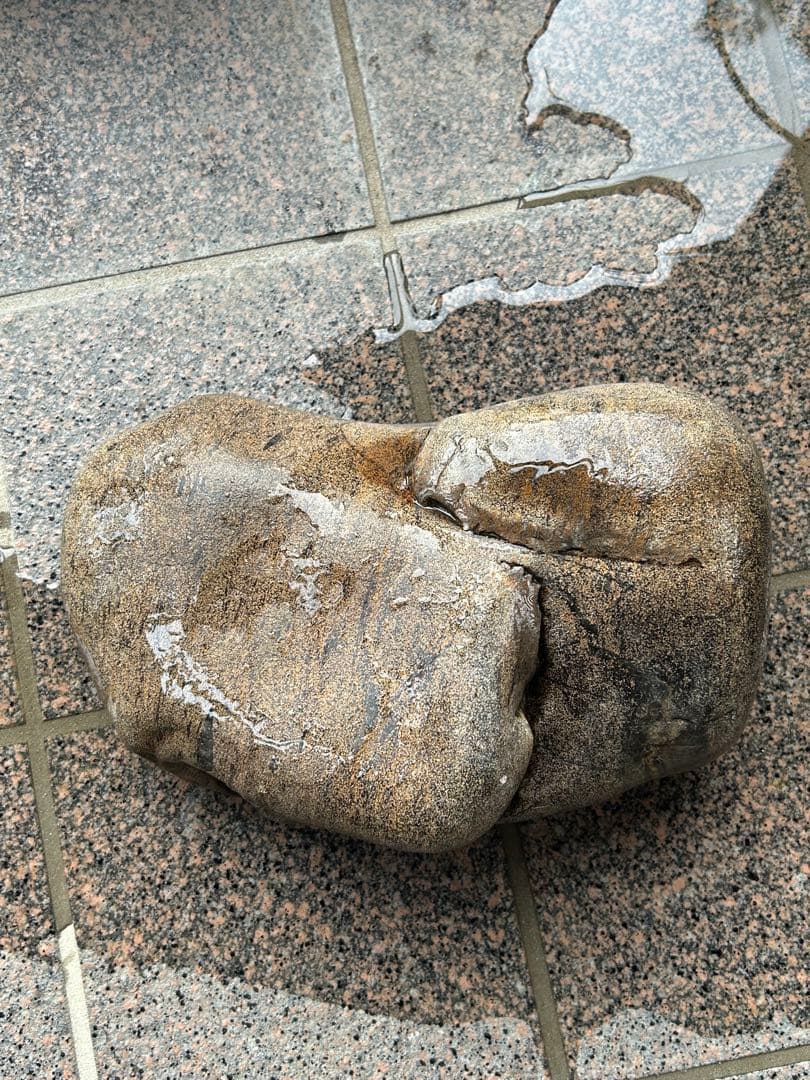 希少　犀川金梨地石　うぶ石　長野県産　石のみのご提供です。