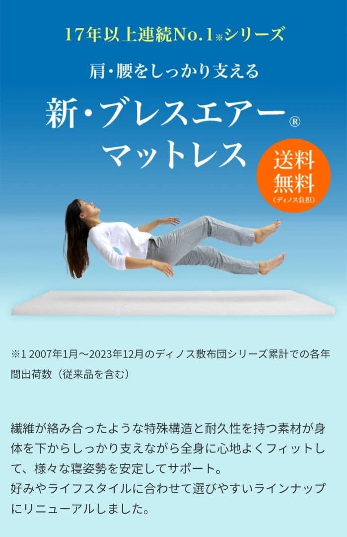 東洋紡 ブレスエアー ディノス購入6ヶ月使用 中古