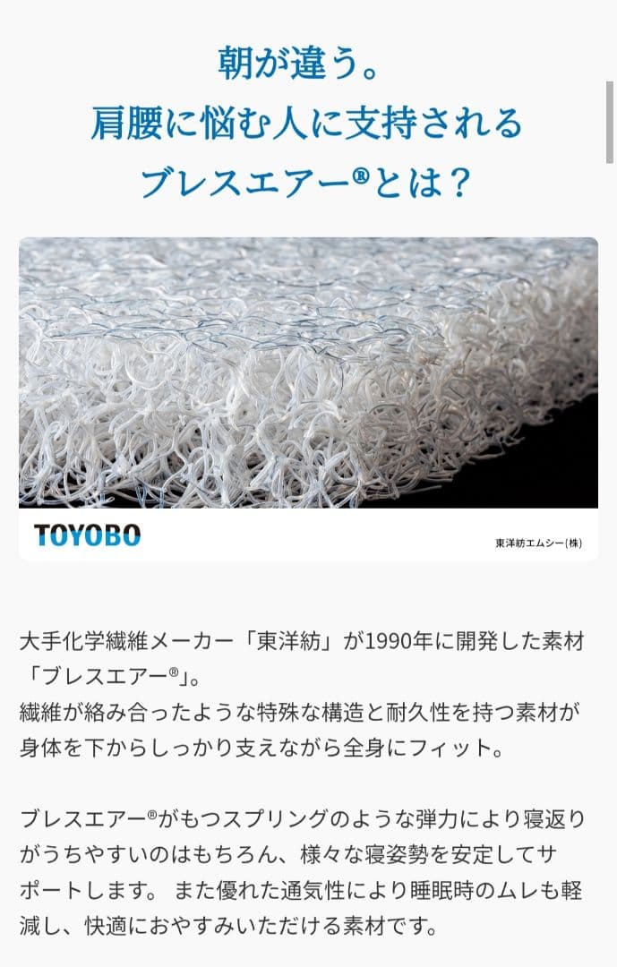 東洋紡 ブレスエアー ディノス購入6ヶ月使用 中古