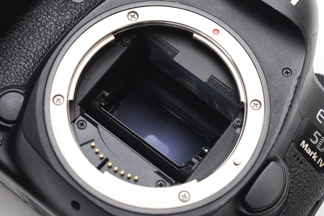 一眼レフカメラCanon EOS 5D MarkIV標準&望遠ダブルレンズセット