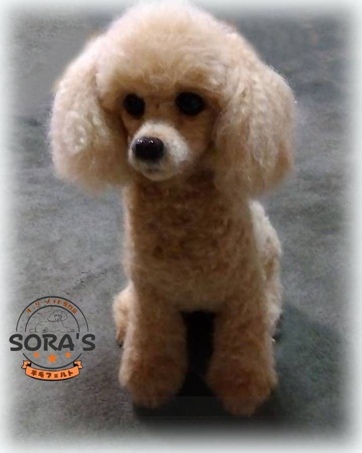 愛犬の羊毛フェルトオーダー・ご予約専用ページ・わんちゃん