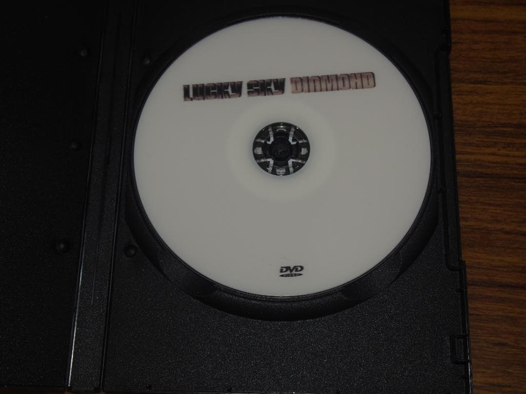 DVDラッキースカイダイアモンド　網浜直子　佐野史郎　ギニーピッグ幻の7作目