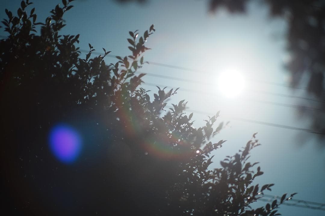 整備＆テスト済 オリンパス Zuiko Auto-T 135mm F2.8 01