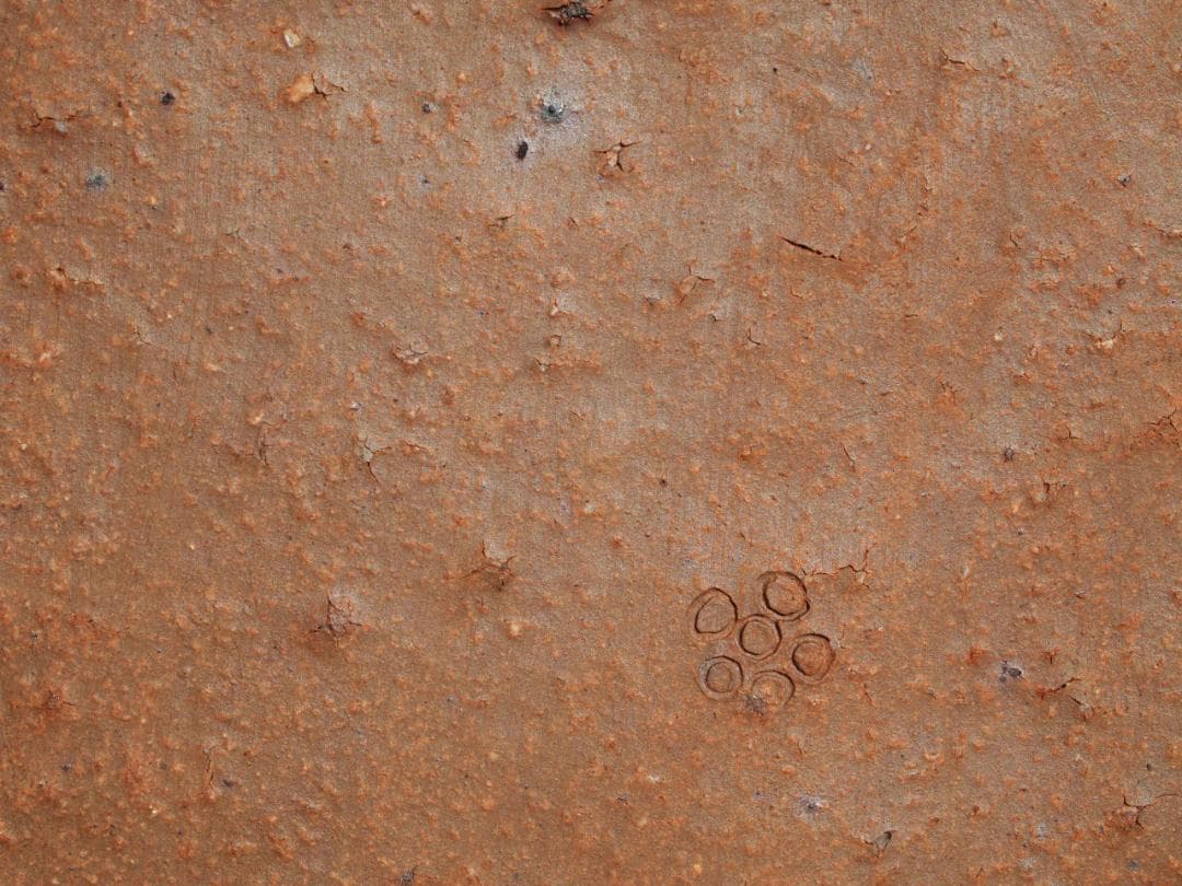 希少作★森陶岳★備前【寒風】角皿５枚組★共箱