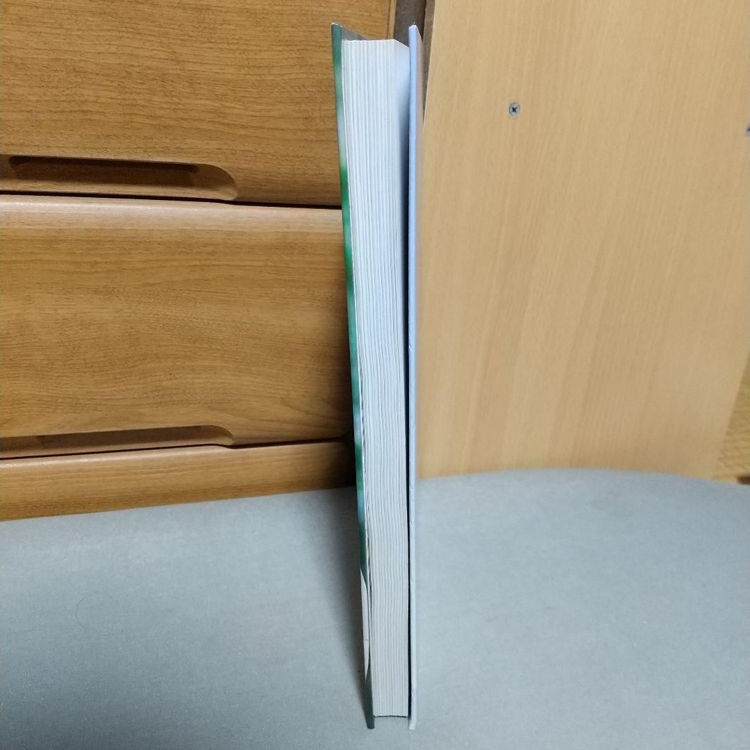 Mais Você 10 Anos (Português) ハードカバーjc02