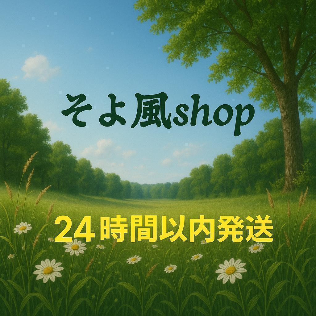 【全4種セット】M&M’s Motor Mates ダッシュボードディスプレイ