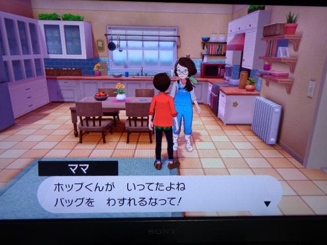 ポケットモンスター シールド + エキスパンションパス 動作可能