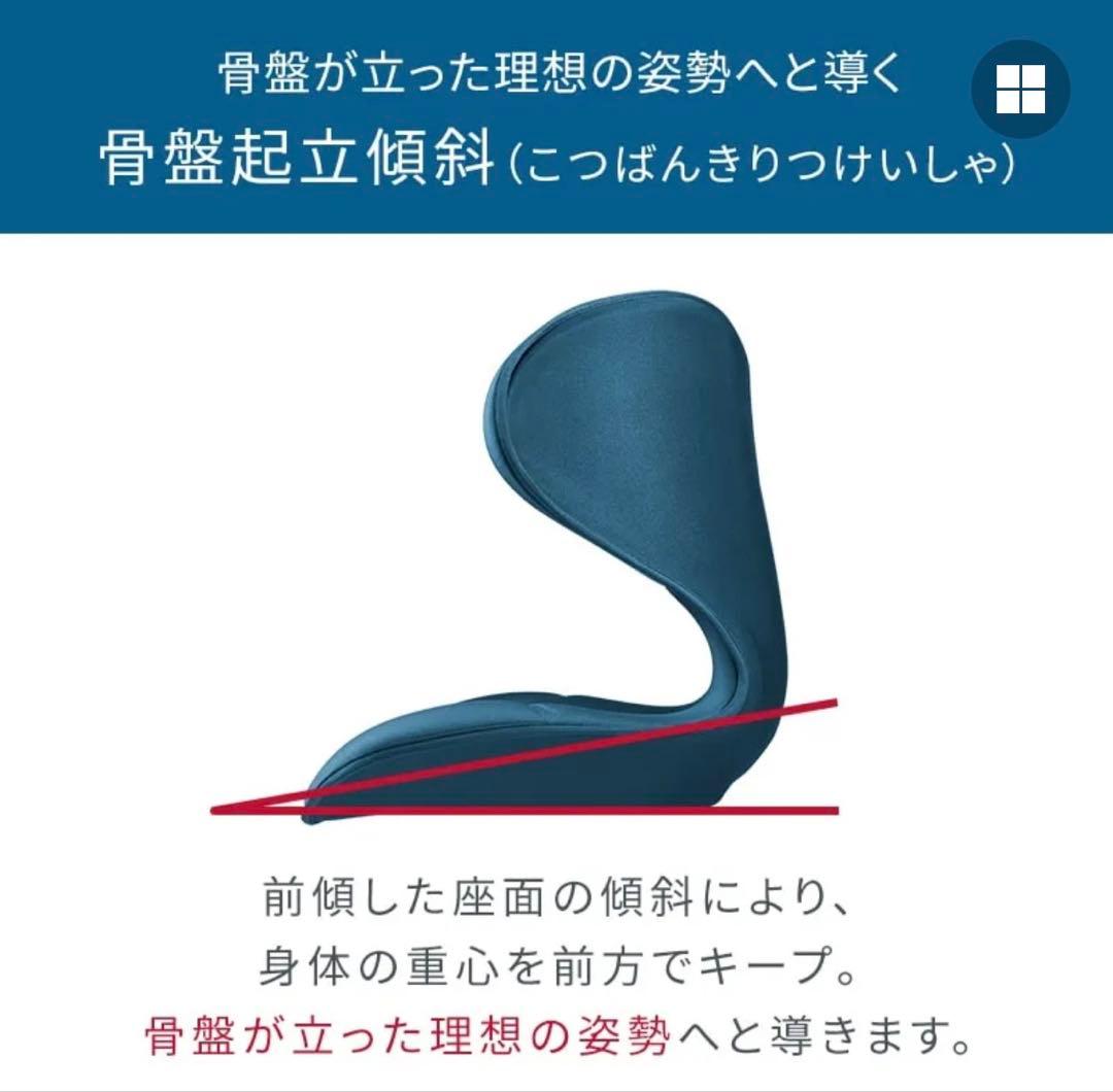 MTG スタイルスマート　StyleSMART 骨盤椅子