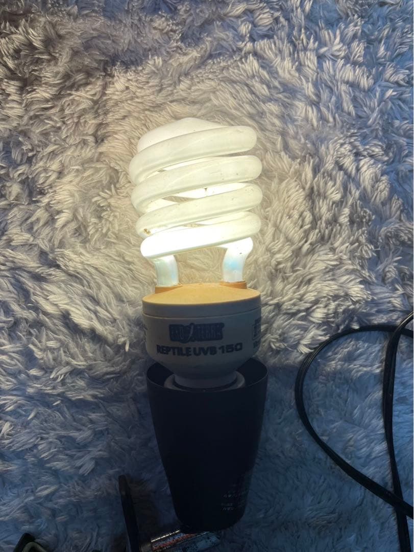 未使用80Wカーボンヒータービバリア★おまけ多数サーモ/ヒーター/ダントツ/ソケ