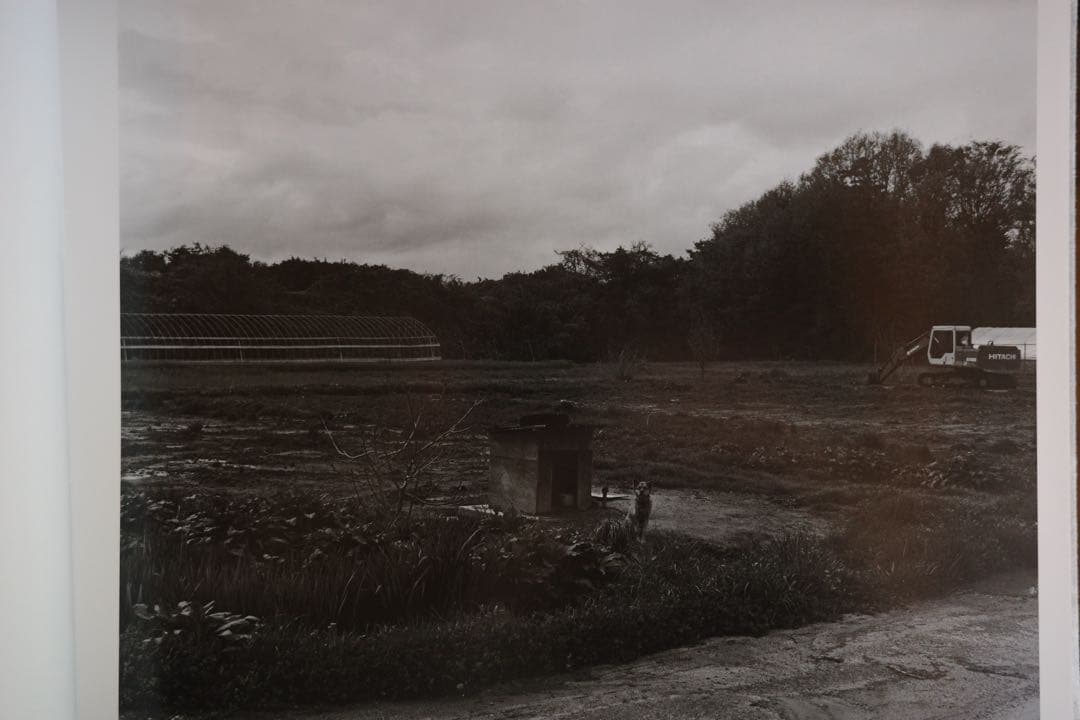 村越としや　「大きな石とオオカミ　特装版」