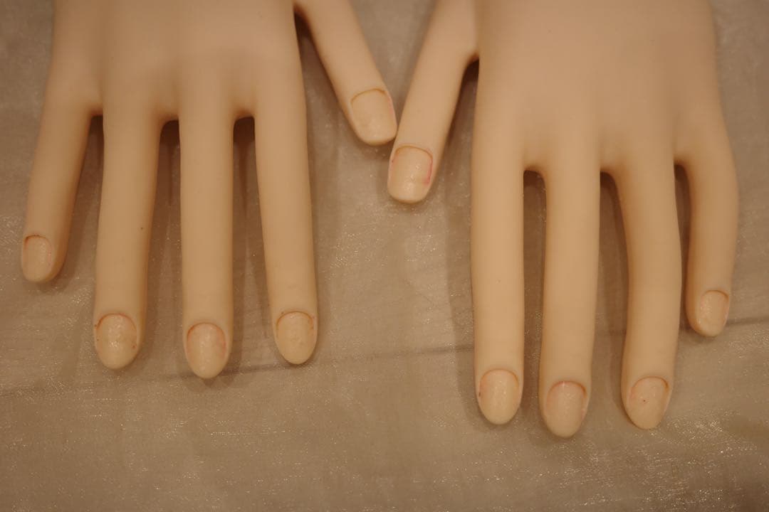 【骨折なし】JNEC認定モデルハンドセット