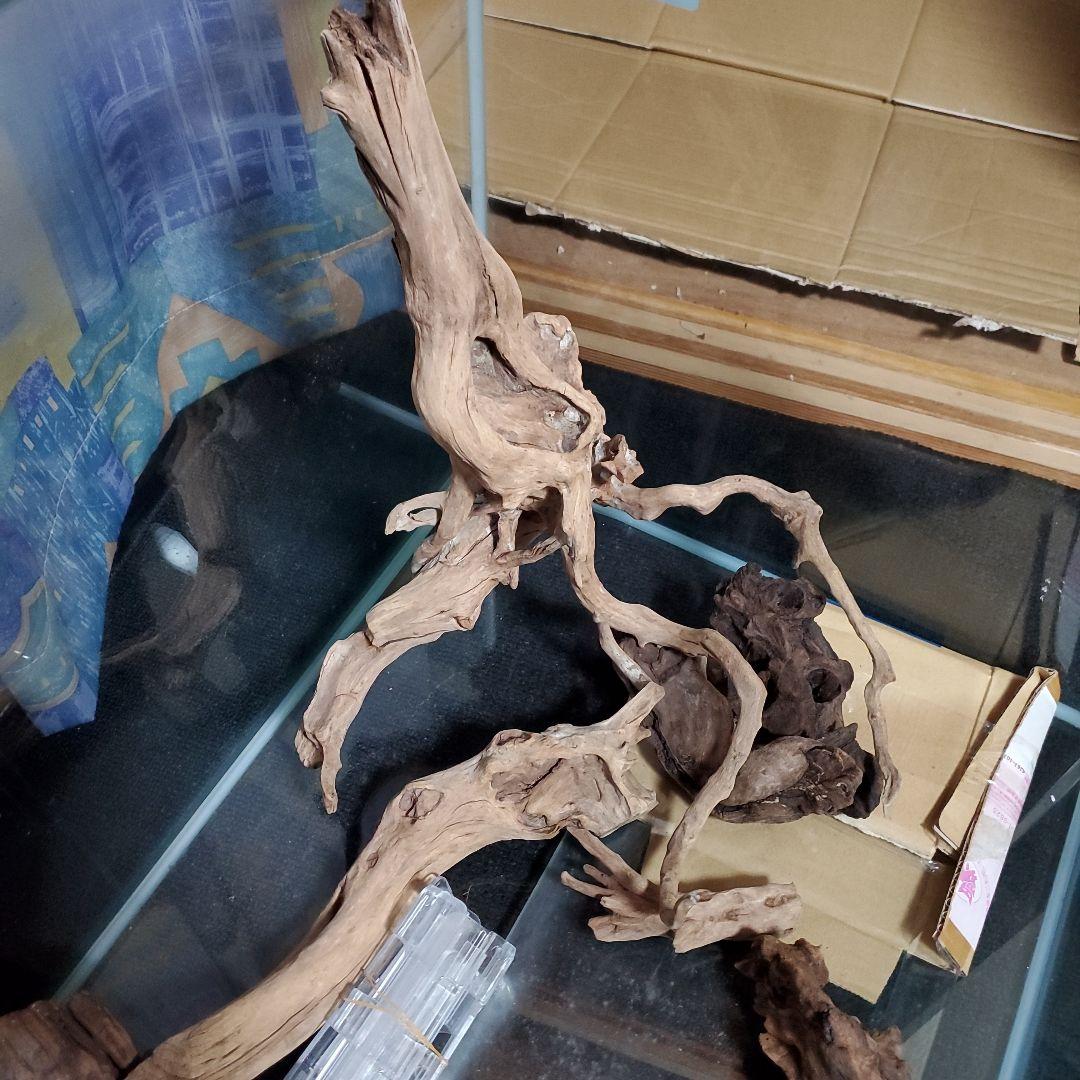 コトブキ レグラス 60センチ 引き取りのみ