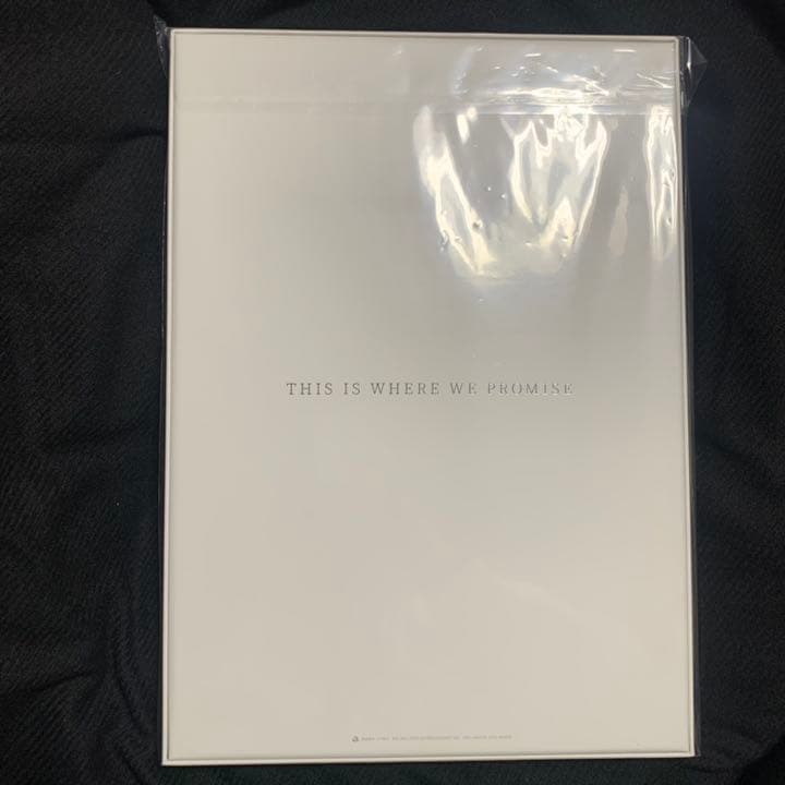 ミュージック THIS IS WHERE WE PROMISE