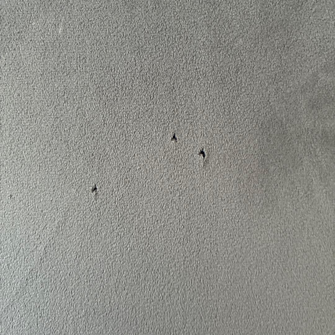 【90日限定出品 】ニトリNビリーバ 布　電動リクライニング2人掛けソファ