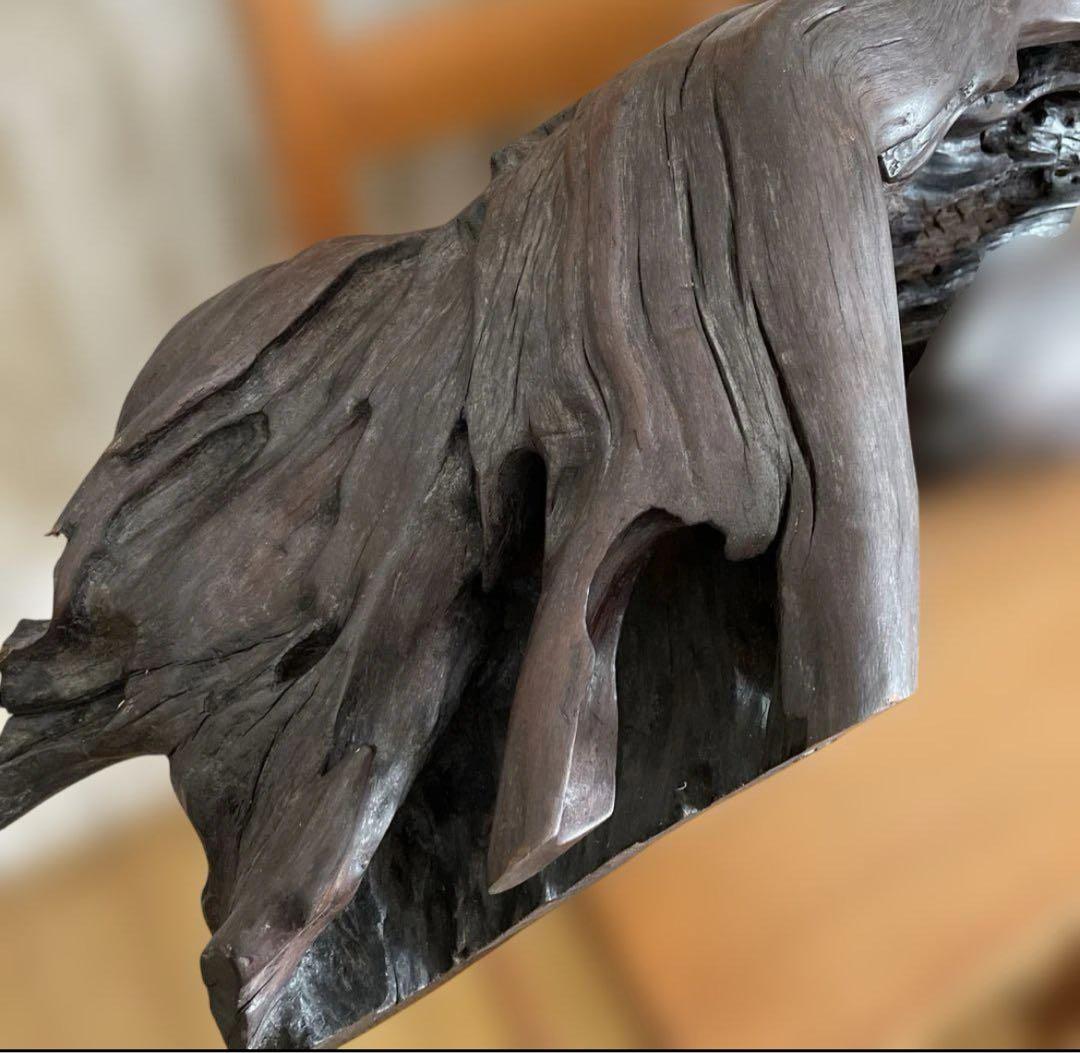 73cm 【大木　天然木　古根　オブジェ】古木　流線形