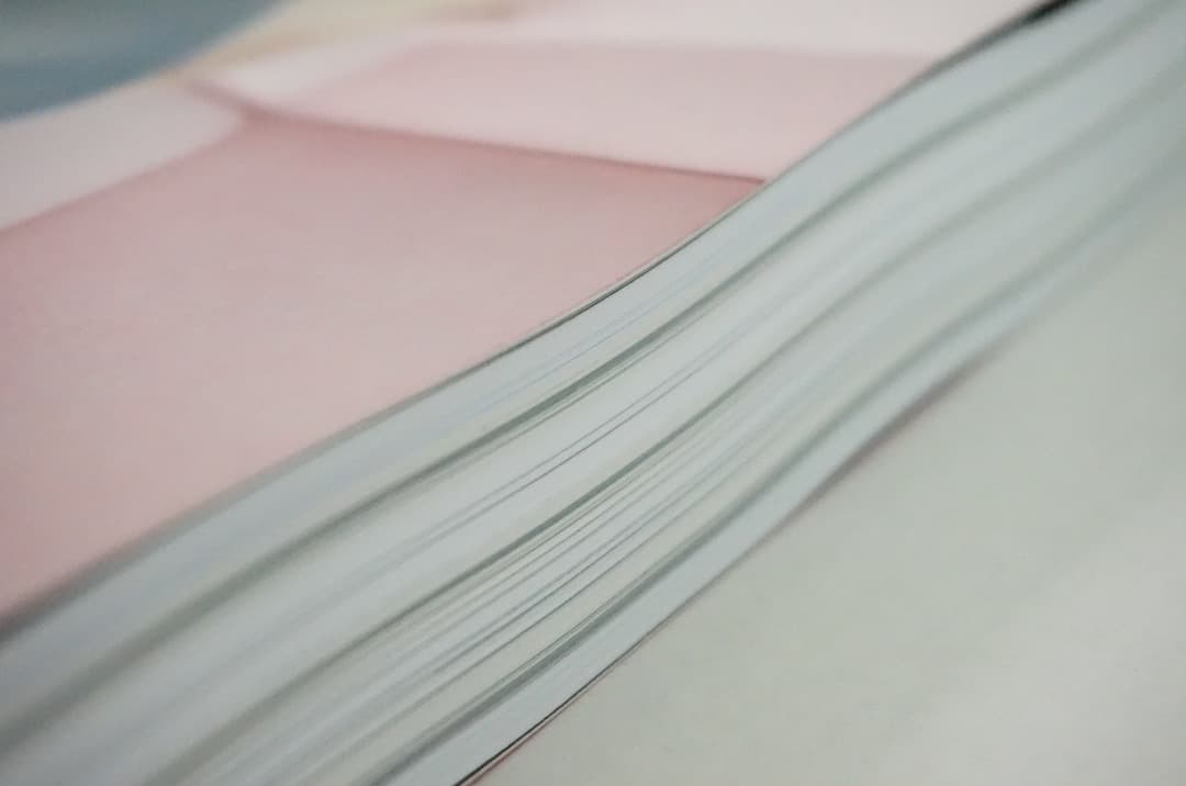 s*3様 2000部限定 Le petit voyeur #6 カルチャーマガジ