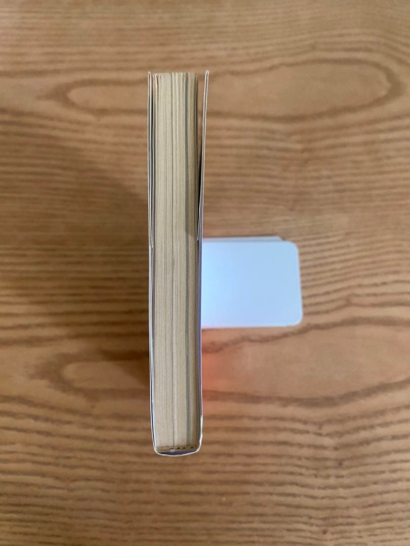 格闘技に生きる　ベーニー・ユキーデ