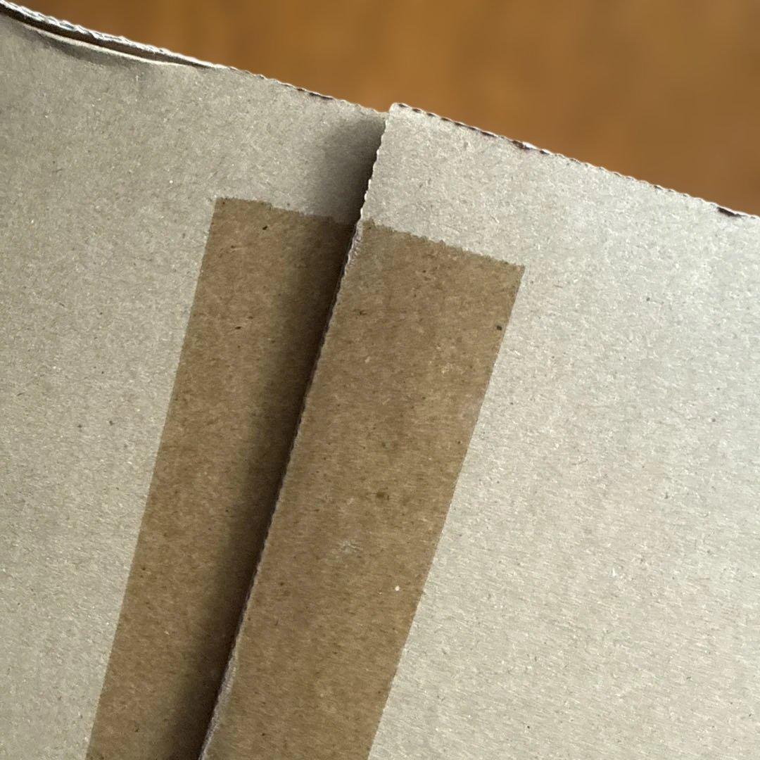 Ayrton　アイルトン・セナ没後30年プレミアム写真集