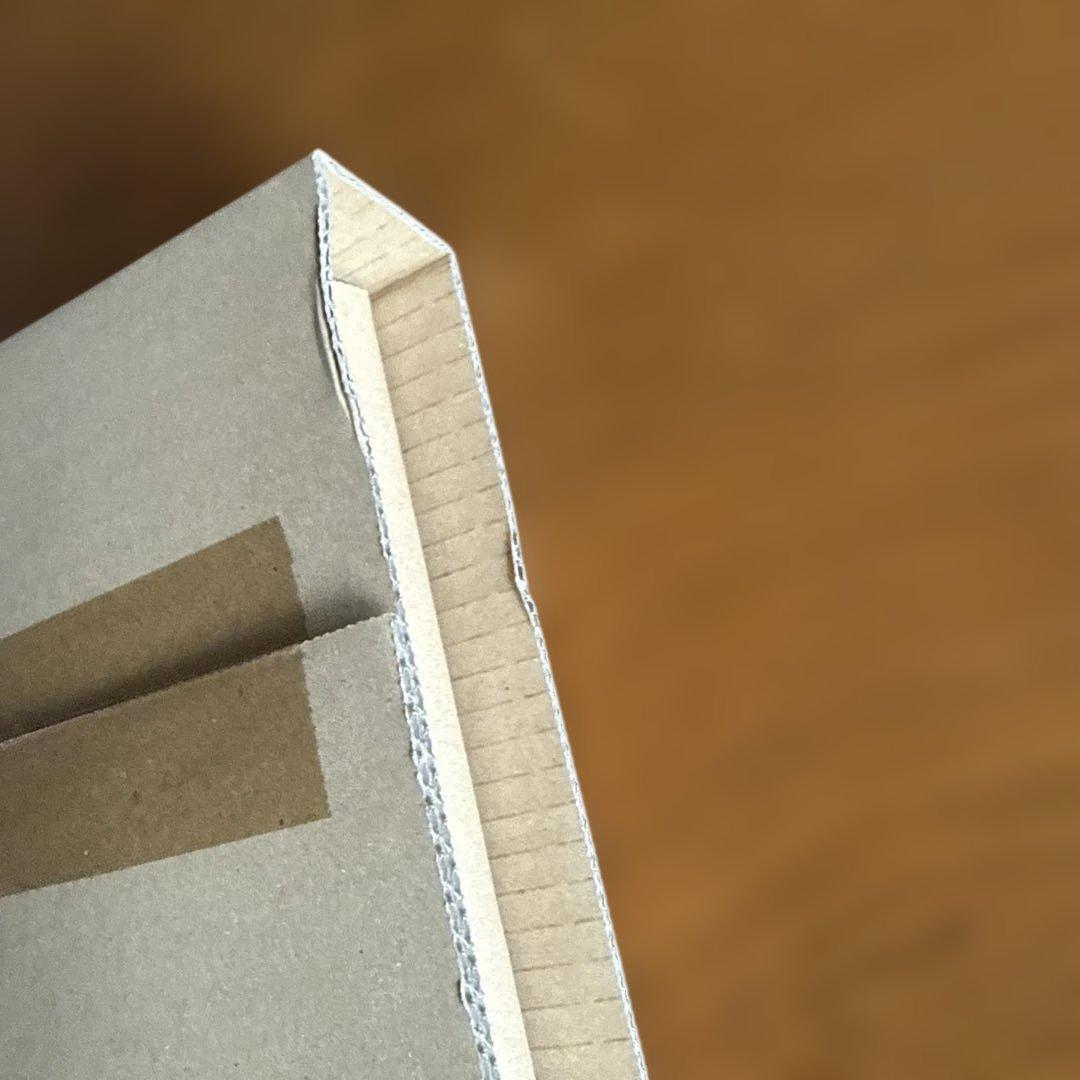 Ayrton　アイルトン・セナ没後30年プレミアム写真集