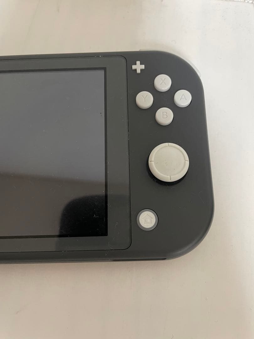 Nintendo Switch Lite 本体 + 充電器 + ケース