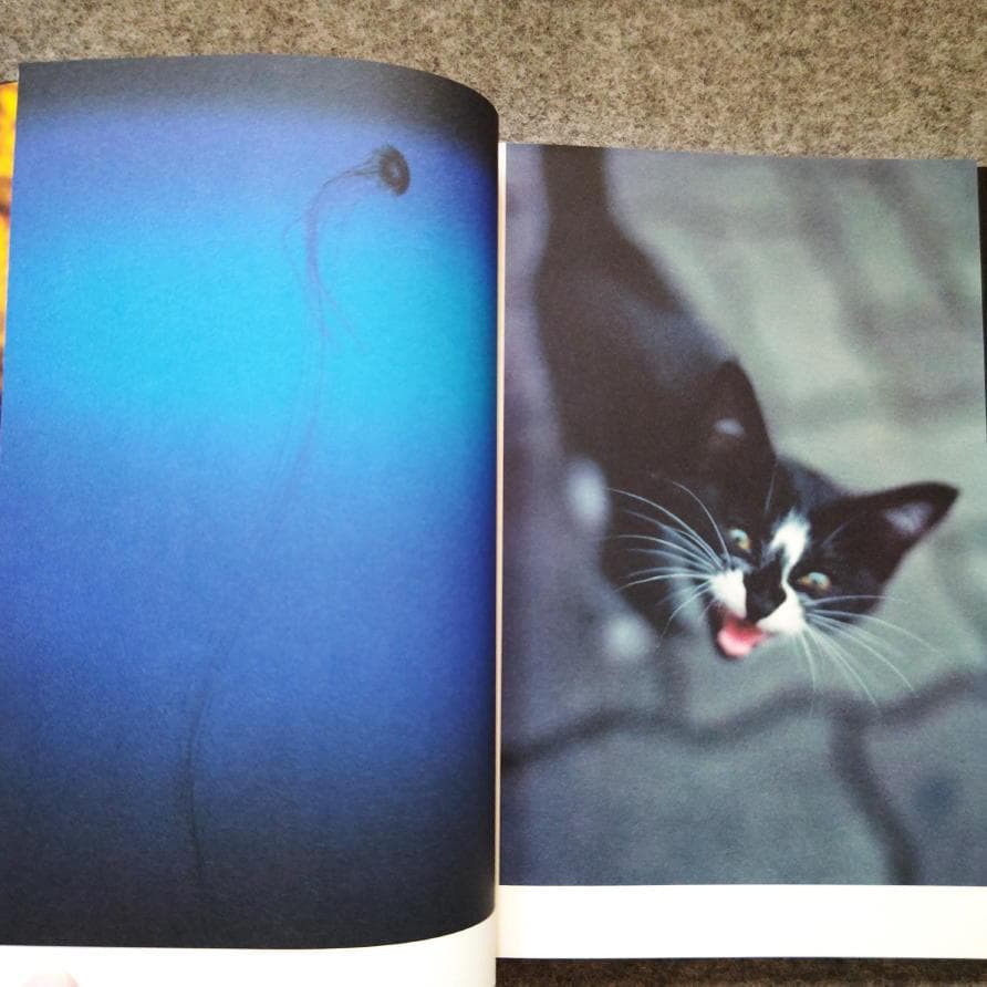 ◆古本◆蜷川実花サイン入り◆ノワール◆女性写真家、映画監督◆蜷川幸雄の娘