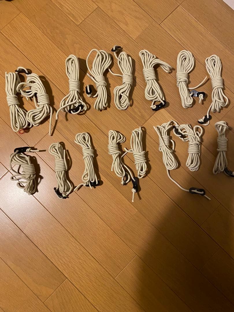 【新年大幅値下】SABBATICAL SKYPILOT TC