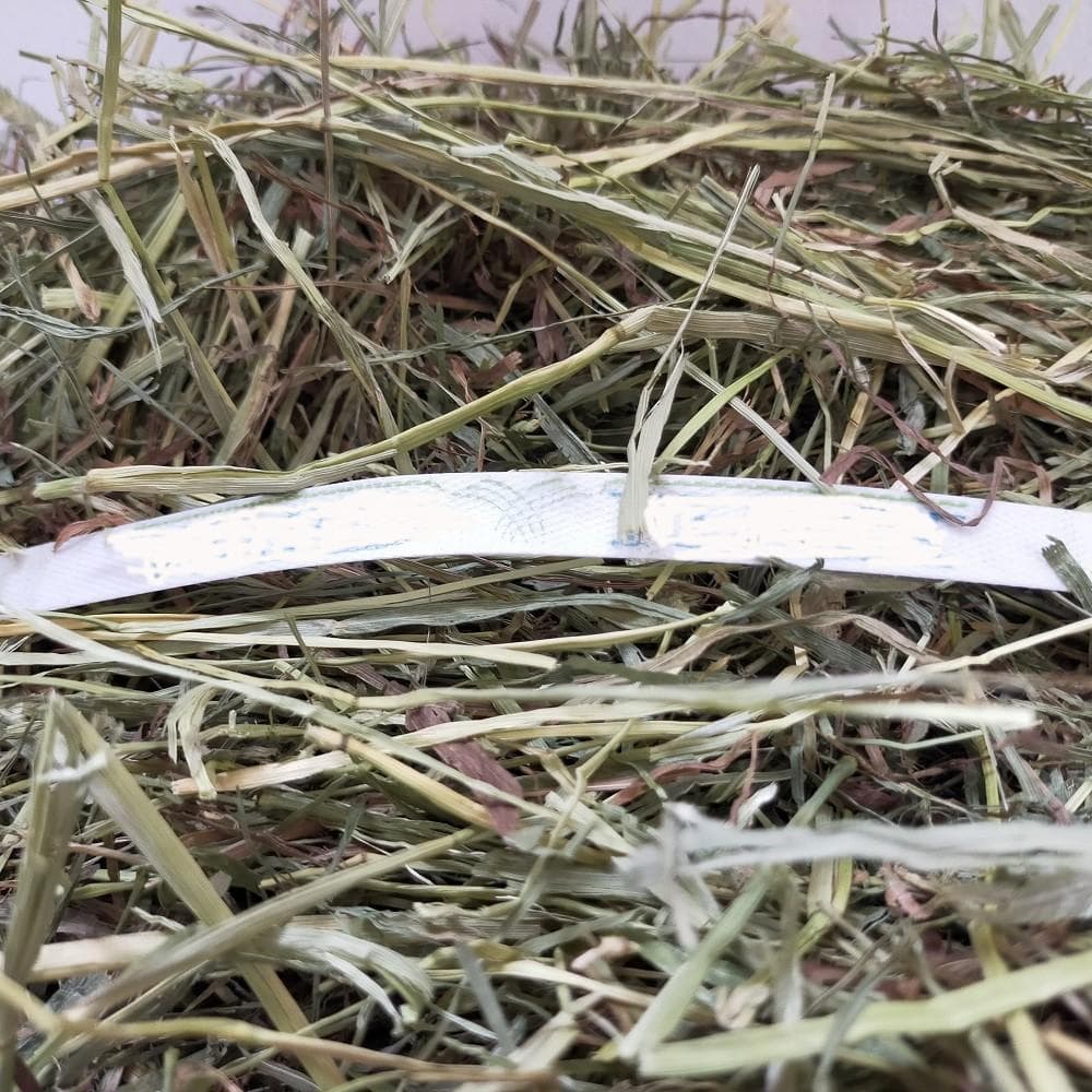 【7/31まで】US産 チモシー 50kg ２番刈 ソフトSプレミアム