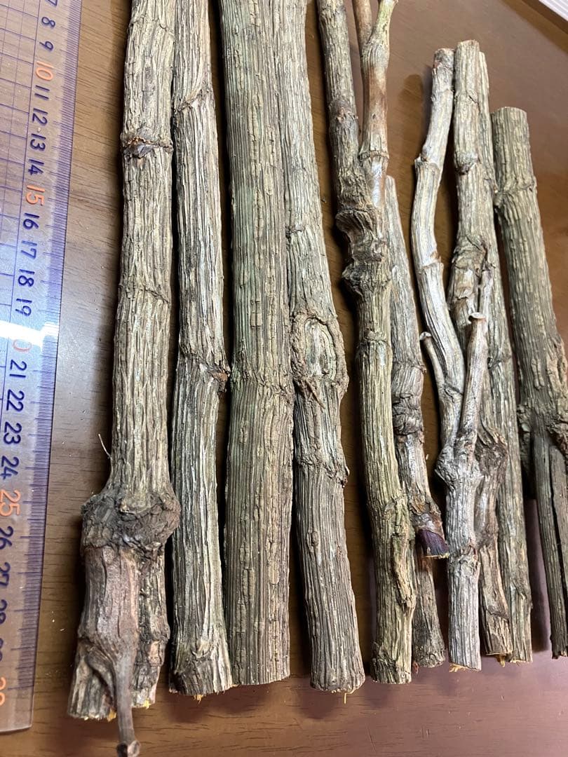 トレビーノ　カセッティシリーズ　コンパクトサイズ　MKC.MX2J 4個