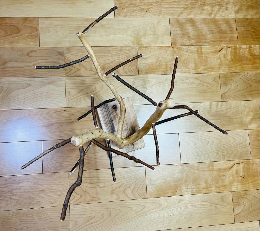 【小鳥さん用】天然木セイヨウズ♬森のバードスタンド