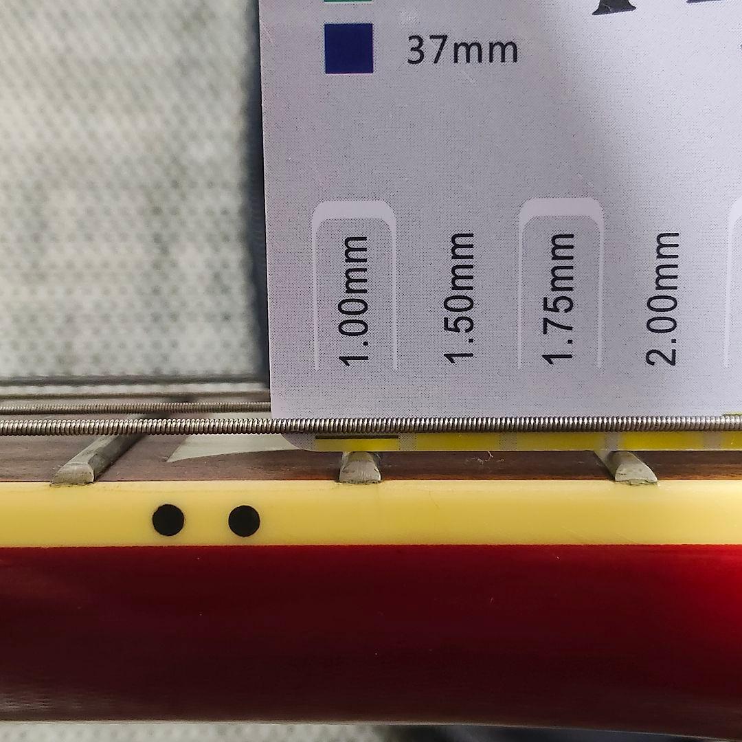 Barclay バークレー レスポール スタンダード ソフトケース付き