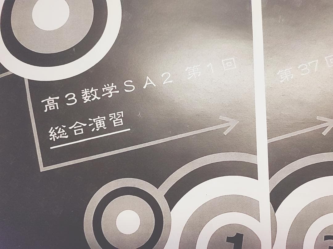 鉄緑会の李先生による高3数学SA2入試数学演習フルセット　駿台　河合塾