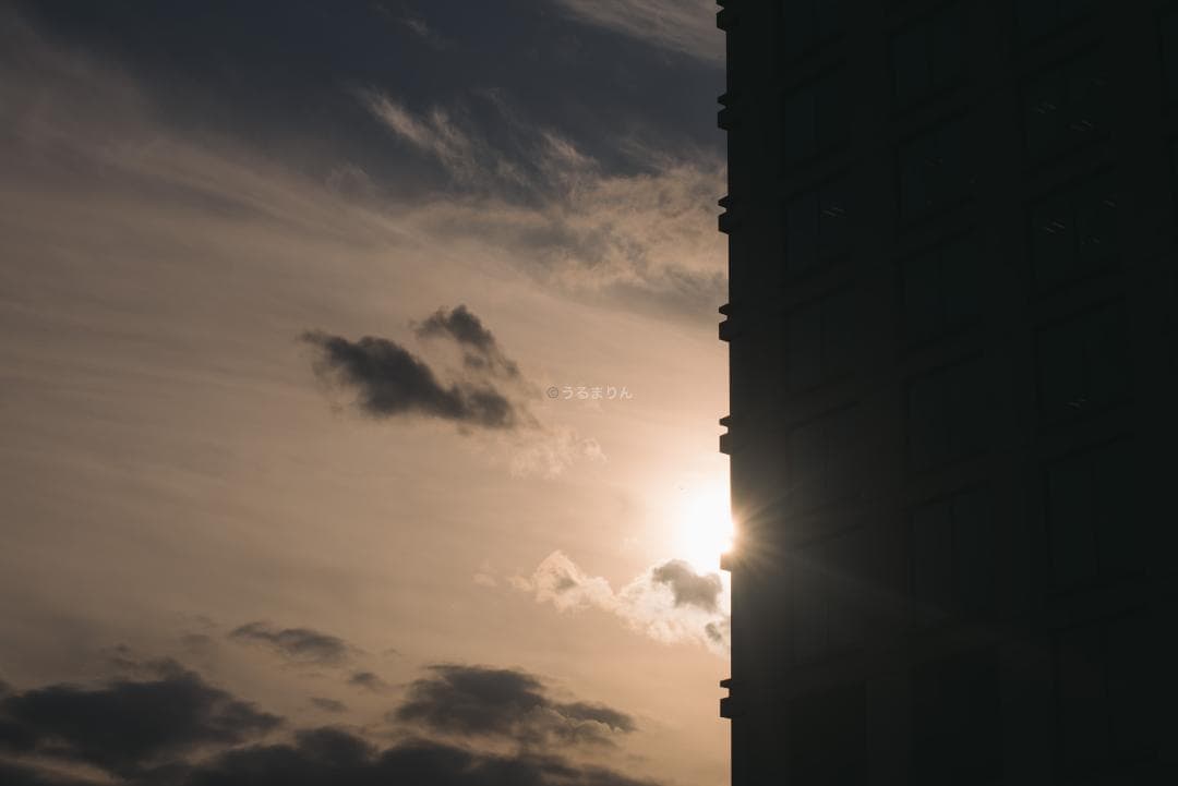 ライカの神マクロ！Leica Elmar 65mm F3.5 Visoflex