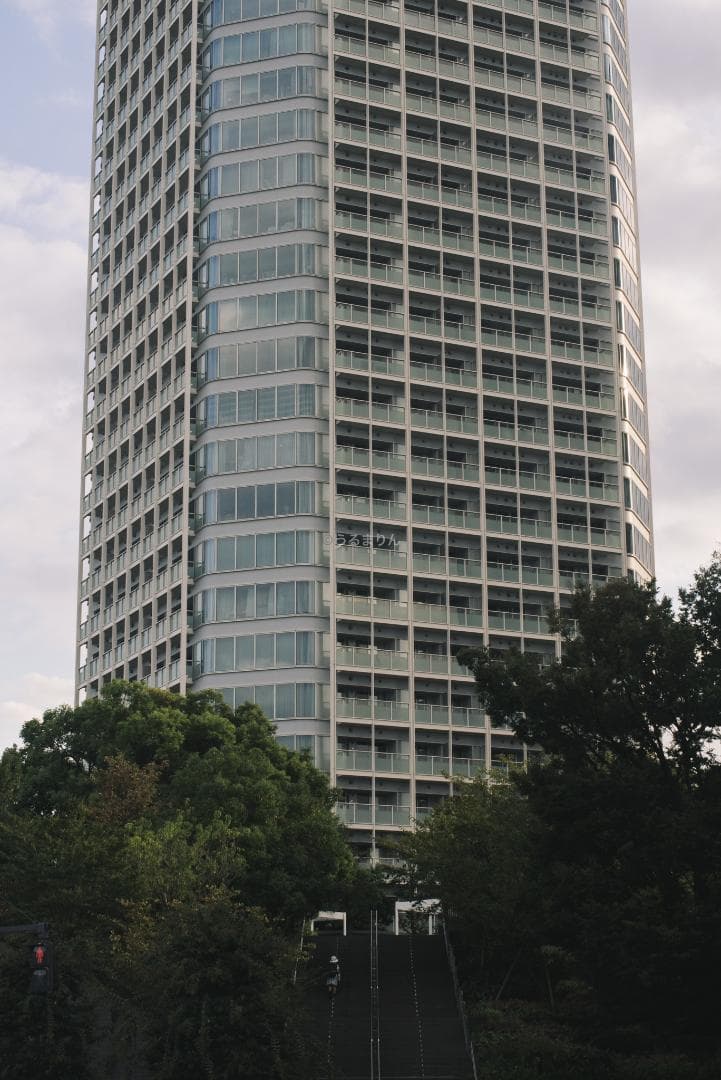 ライカの神マクロ！Leica Elmar 65mm F3.5 Visoflex