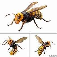 海洋堂 リボジオ オオスズメバチ