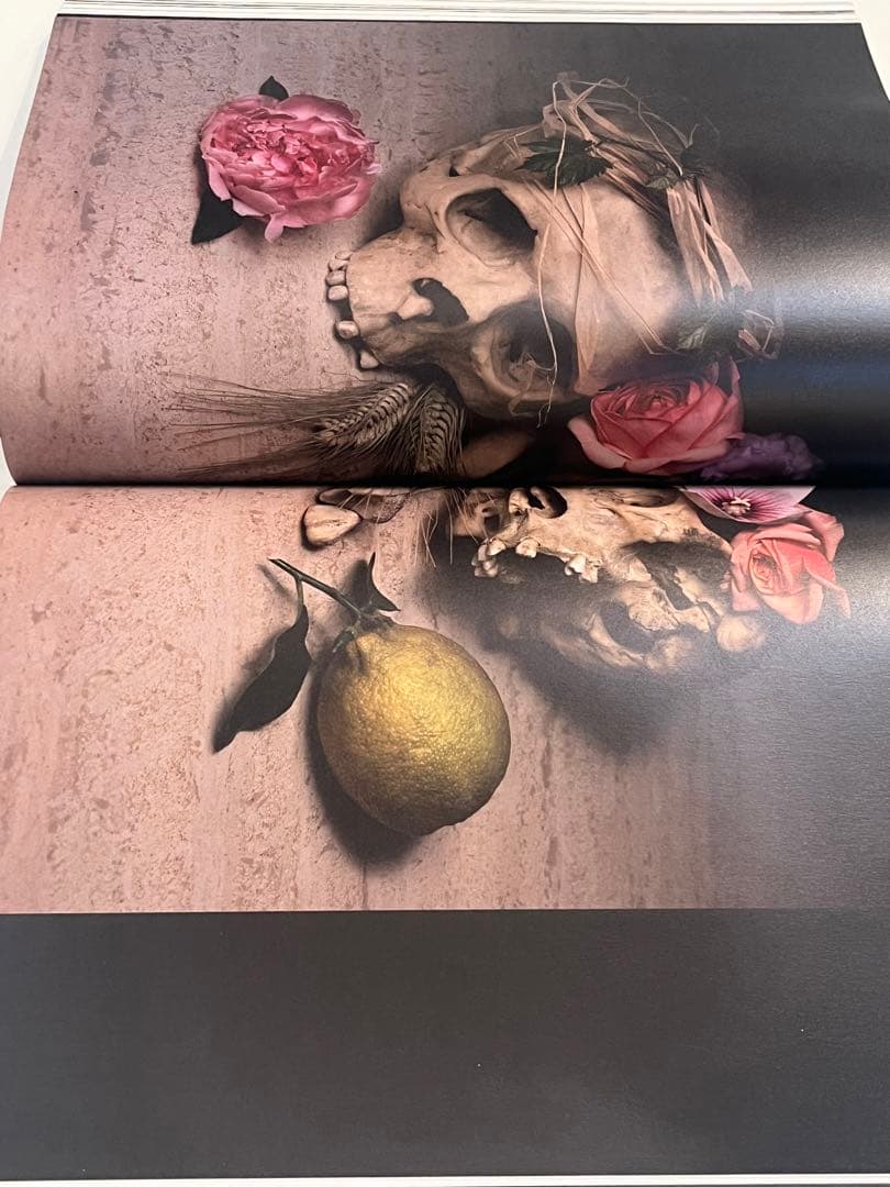 希少　PARADIS #3 2007/08 purple fashion