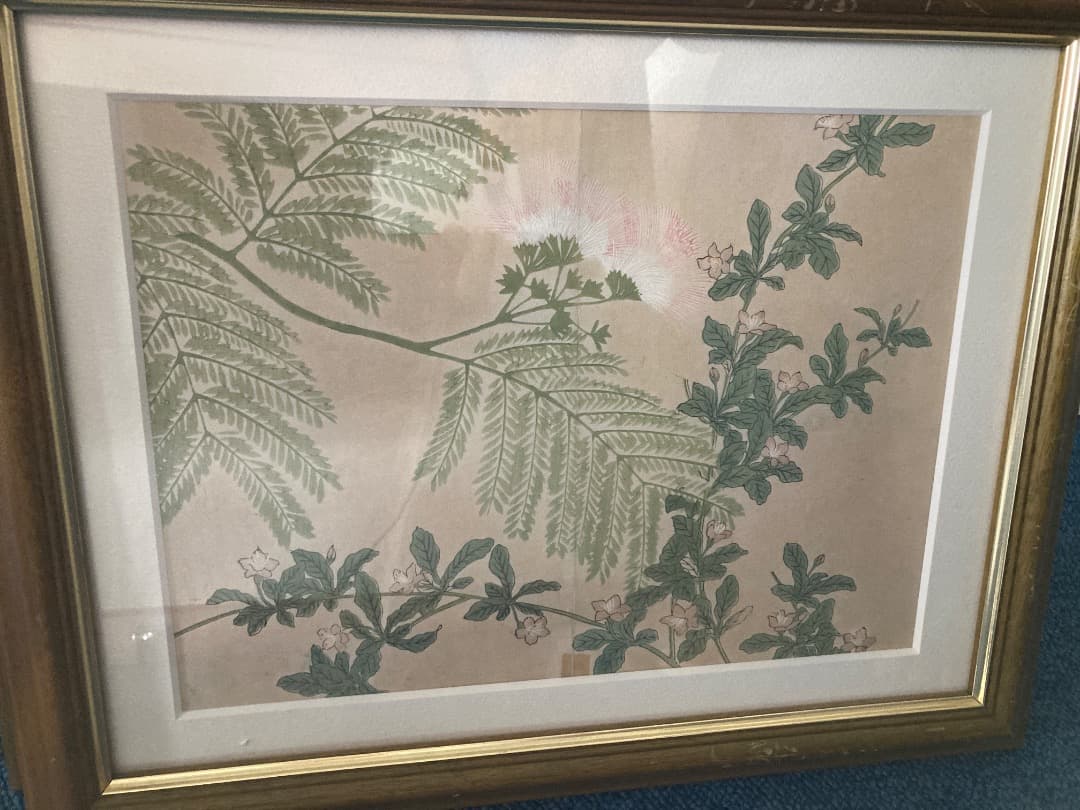 アンティーク　版画日本画 花・植物・果実の絵 4点セット