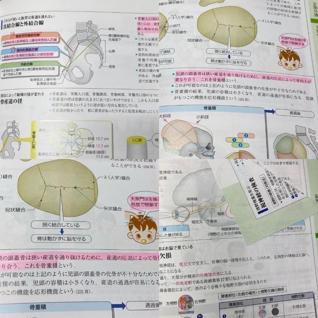 病気がみえる　10冊セット