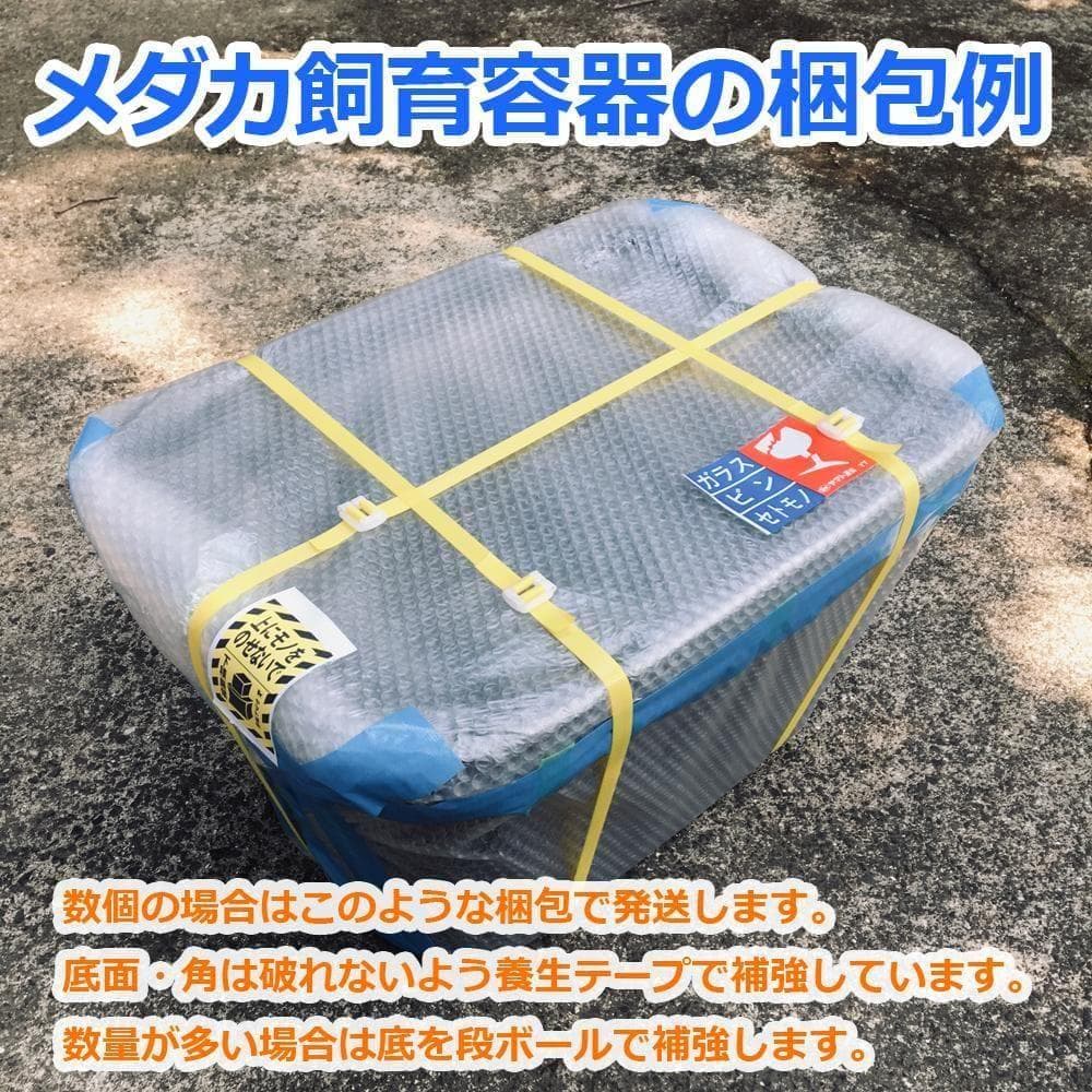 【限定特価】メダカ飼育ケース 120㍑黒x3個 オーバーフロー 金魚飼育 越冬