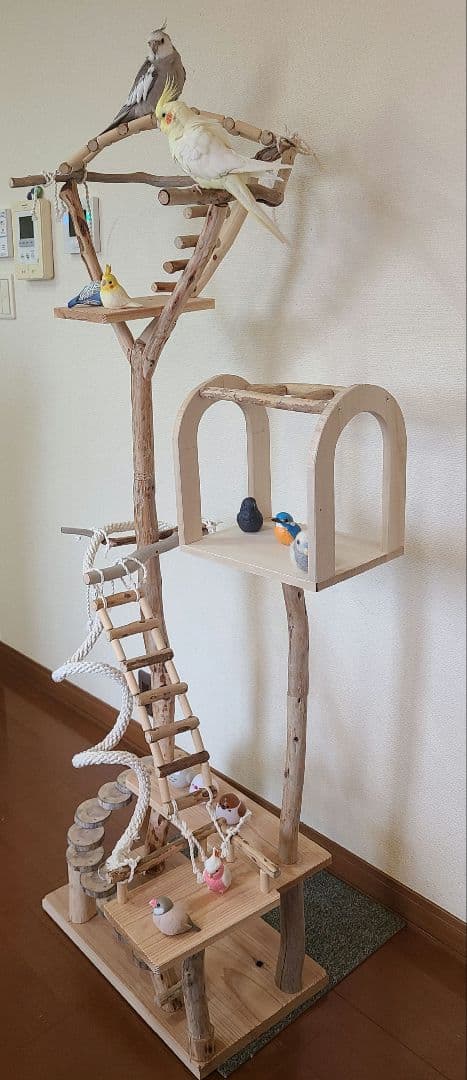 ④朝霧＊オーダーページ　バードアスレチック　流木　ハンドメイド