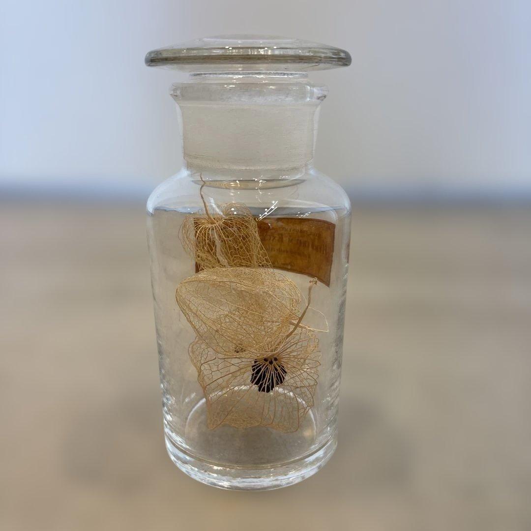 herbarium exceptionalibus ハーバリウム ②