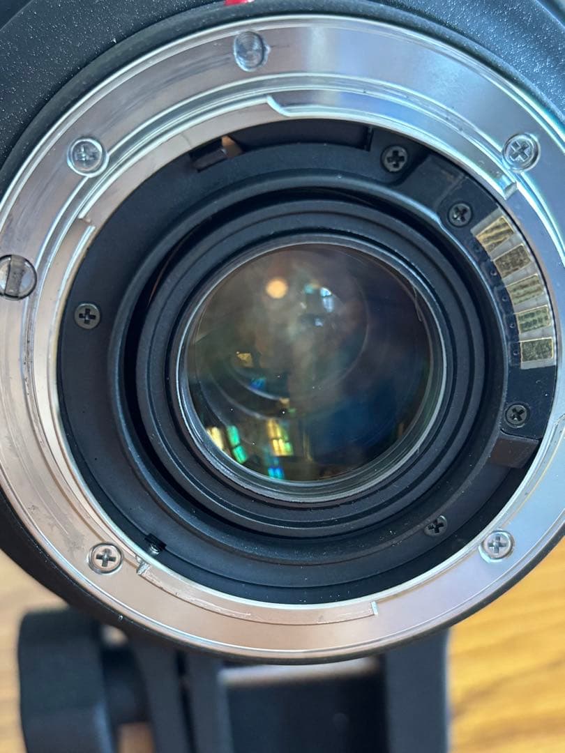 SIGMAシグマ 望遠ズームレンズ APO 50-500mm F4-6.3 EX