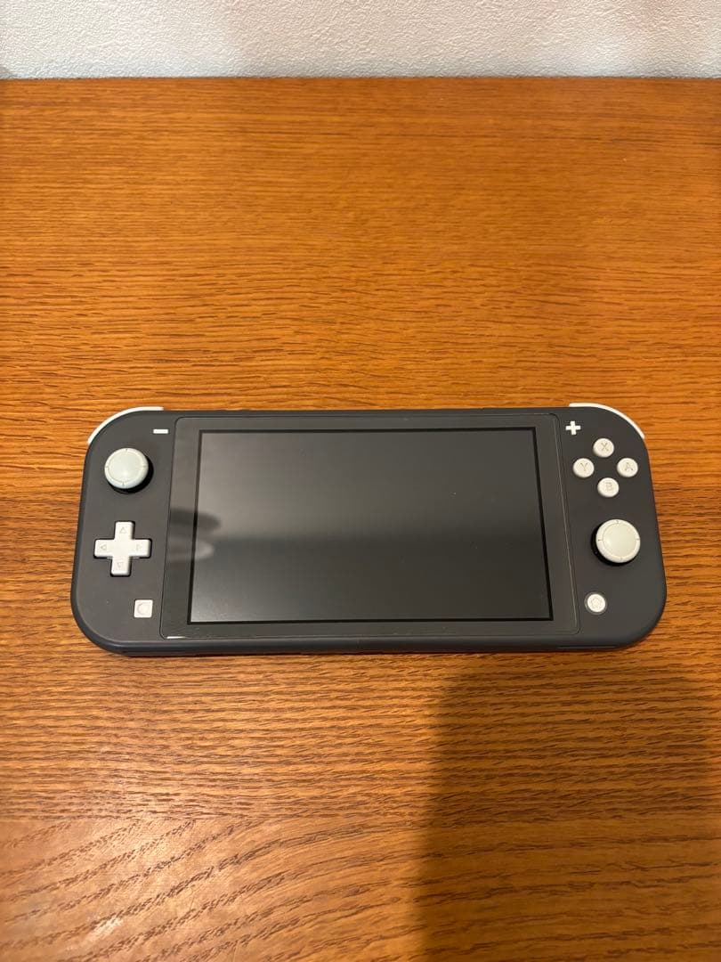 Nintendo Switch Lite グレー 専用ケース付