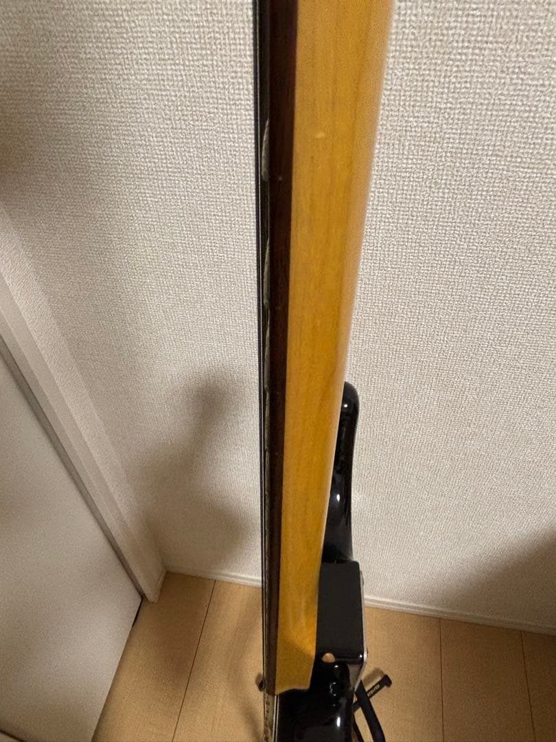 フジゲン　fujigen（FGN） SNST101【限定生産品】