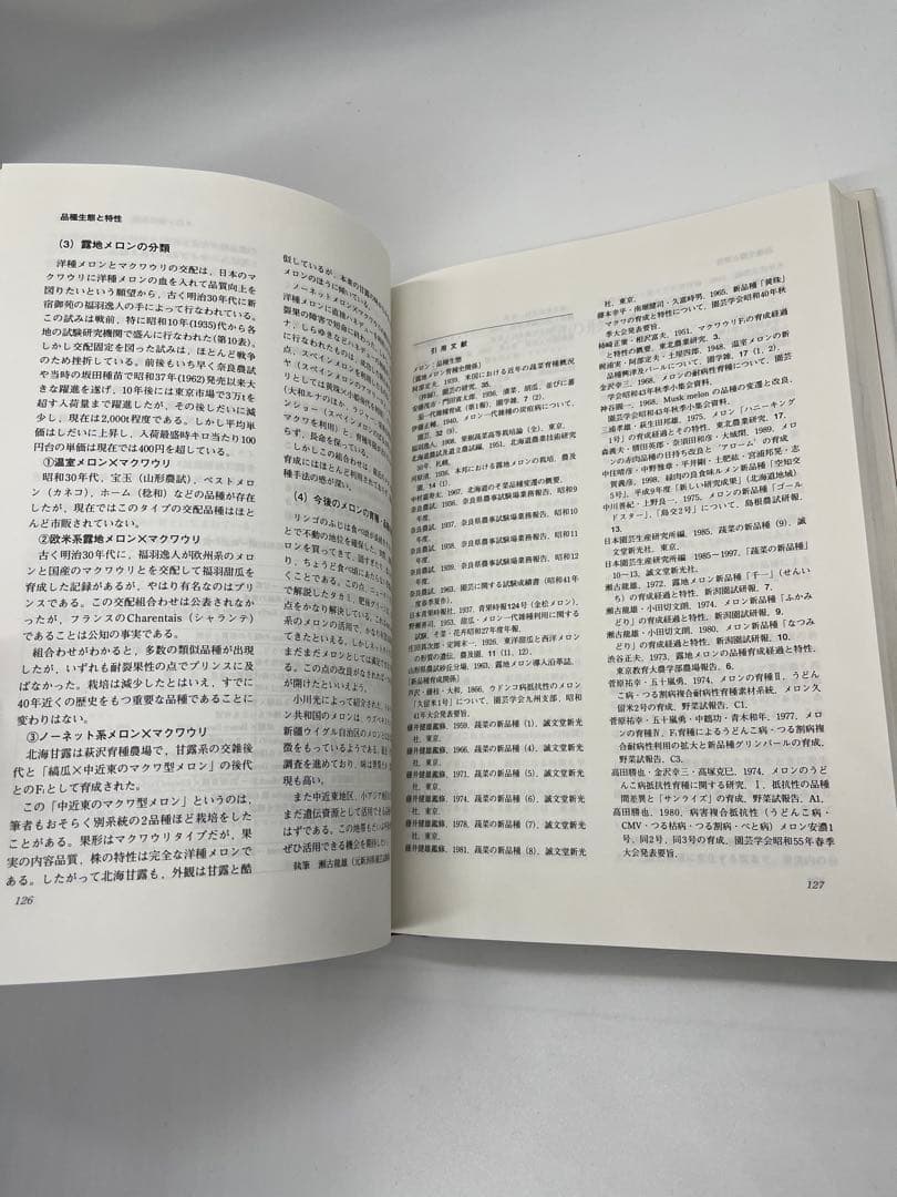 野菜園芸大百科 (4) 第2版　メロン